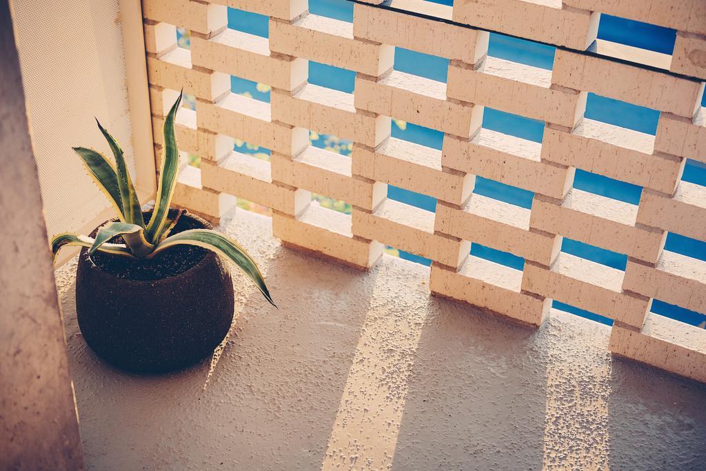 South Congress Hotel Austin Ngoại thất bức ảnh